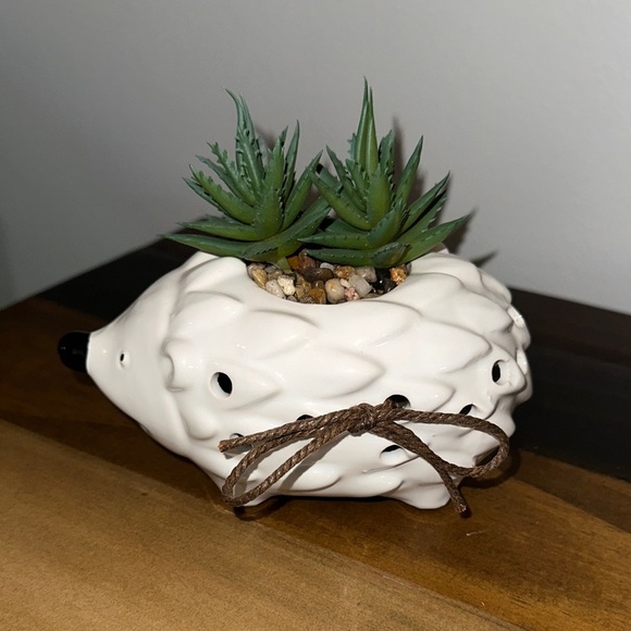 Other - LIMITED TIME $5 ITEM!! Adorable Ceramic Hedgehog Planter with Green Succulents